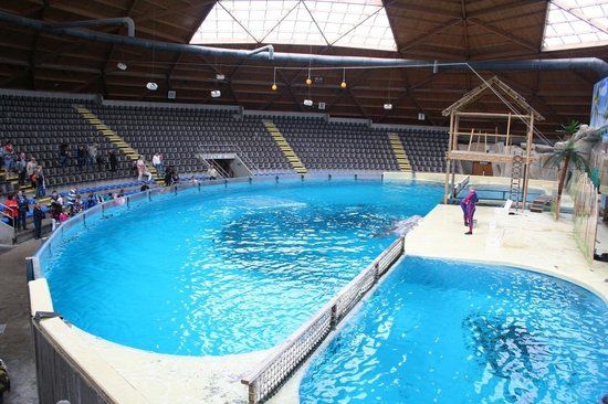 Boudewijn Theme Park and Dolfinarium